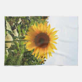 Italiensk solros kökshandduk