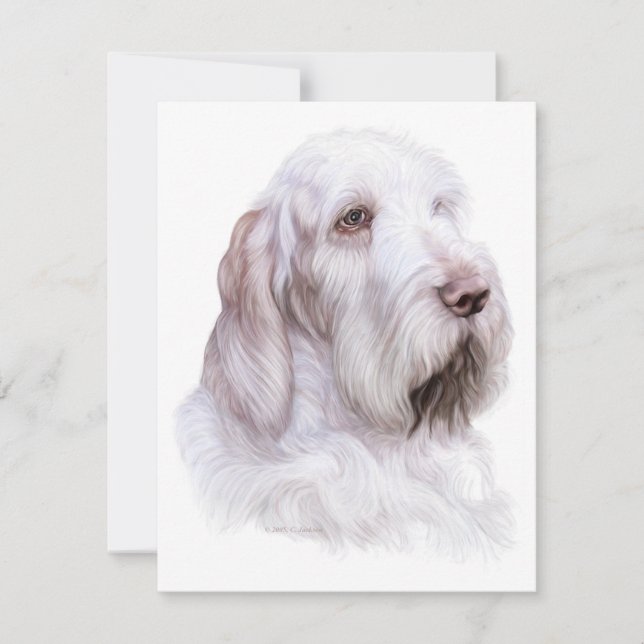 Italiensk Spinone Italiano Inbjudningar (Framsida)