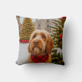 Italiensk spinone kudde