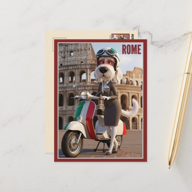 Italiensk Spinone Rom Vykort (Fram/Back In Situ)