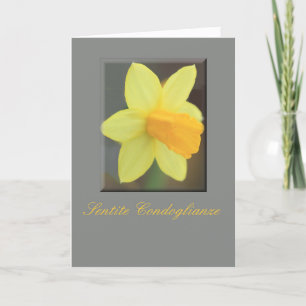 Italiensk sympati Gult Daffodil Kort
