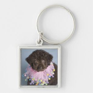 Italiensk valp för vattenhund (Lagotto) Fyrkantig Silverfärgad Nyckelring