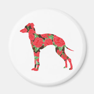 Italiensk vinthund magnet