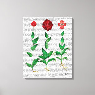 Italienska carnation 2 canvastryck