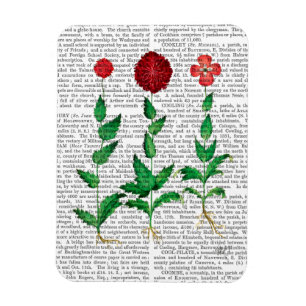 Italienska carnation 2 magnet