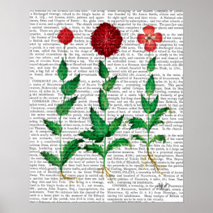 Italienska carnation 2 poster