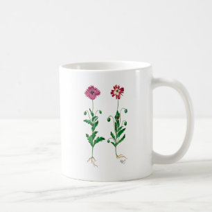Italienska carnation 3 kaffemugg