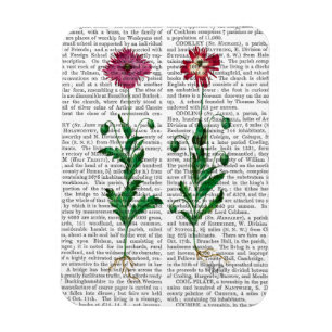 Italienska carnation 3 magnet