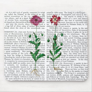 Italienska carnation 3 musmatta