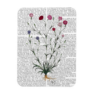 Italienska carnation 5 magnet