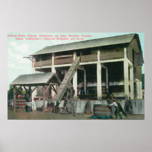 Italienska Colony Brandy Distillery Poster