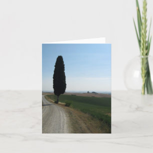Italienska Cypress noterar kort
