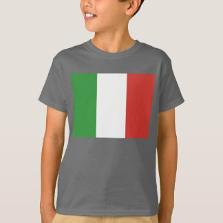 Italienska Flagga Tröja