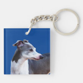 Italienska Greyhound AL
