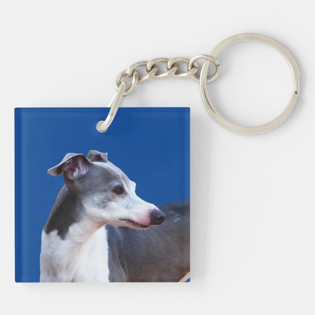 Italienska Greyhound AL (Baksidan)