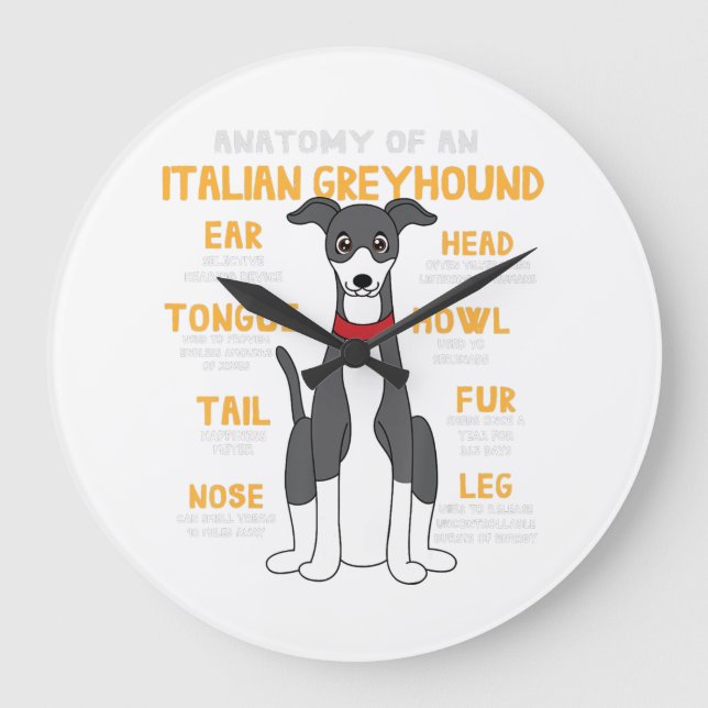 Italienska Greyhound Anatomy Rolig hund Mamma Papp Stor Klocka (Framsida)