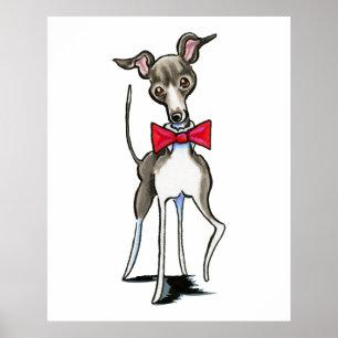 Italienska Greyhound Antonio Poster