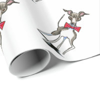 Italienska Greyhound Antonio