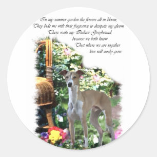 Italienska Greyhound Art-presentationer Runt Klistermärke