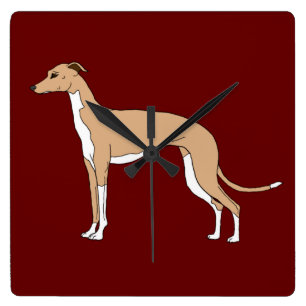 Italienska Greyhound - blå fawn Fyrkantig Klocka