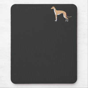 Italienska Greyhound - blåvingad Musmatta