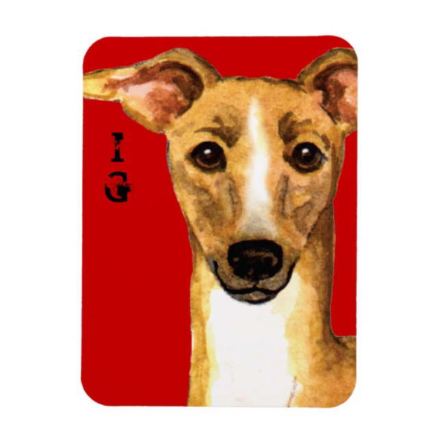 Italienska Greyhound Färg-blocket Magnet (Vertikal)