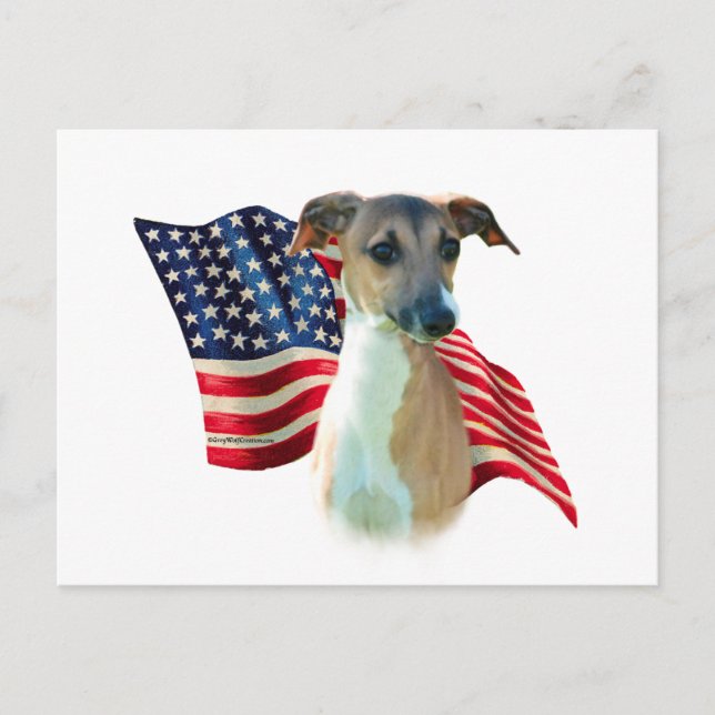 Italienska Greyhound Flagga Vykort (Framsida)