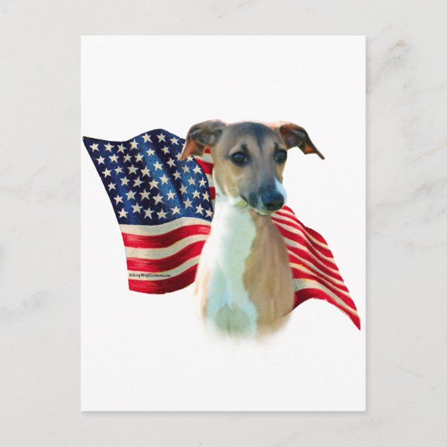 Italienska Greyhound Flagga Vykort (Framsida)