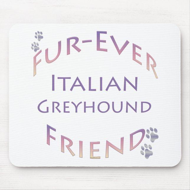 Italienska Greyhound Furever Musmatta (Framsidan)
