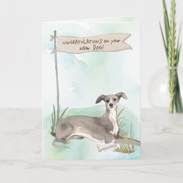 Italienska Greyhound-Grattisar på New Hund Kort (Framsida)