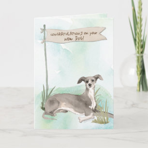 Italienska Greyhound-Grattisar på New Hund Kort