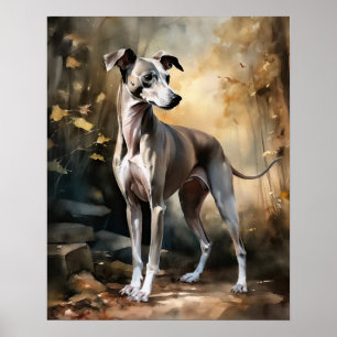 Italienska Greyhound Hund Art Print Poster