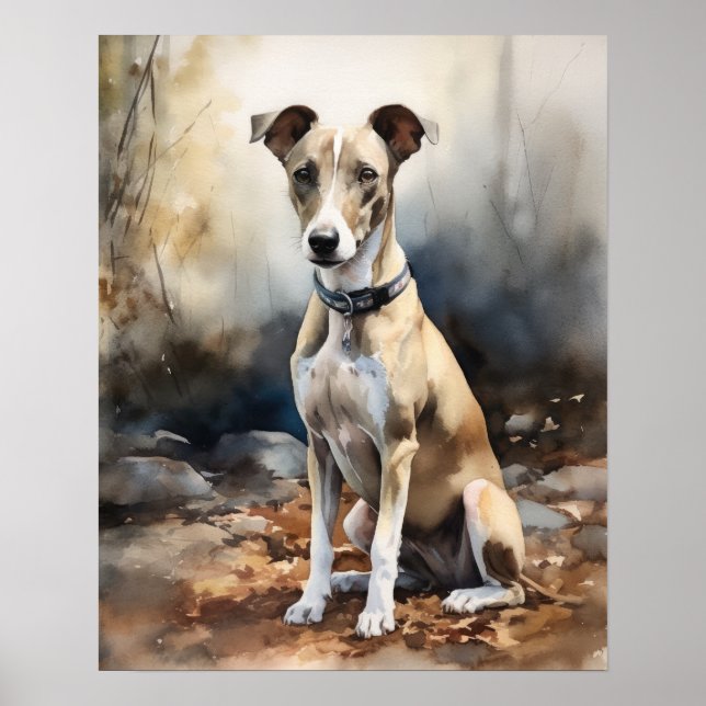 Italienska Greyhound Hund Art Print Poster (Framsidan)