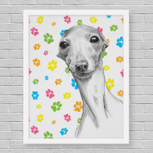Italienska Greyhound hund Cute Funny Sketch Porträ