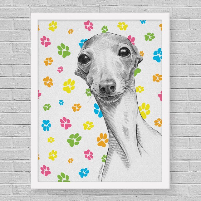 Italienska Greyhound hund Cute Funny Sketch Porträ Poster (Skapare uppladdad)