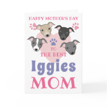 Italienska Greyhound Hund Cute Iggies-Anpassningsb
