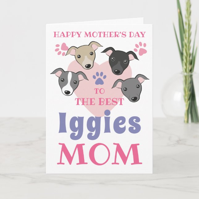 Italienska Greyhound Hund Cute Iggies-Anpassningsb Kort (Framsida)