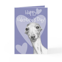 Italienska Greyhound hund Cute Valentines day Kärl