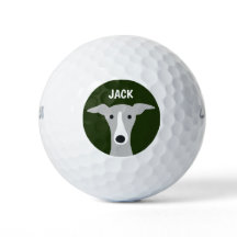 Italienska Greyhound-Hund med eget namn