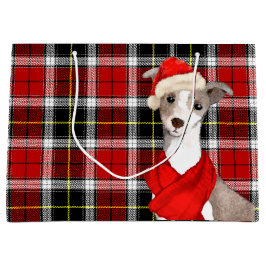 Italienska Greyhound-Hund och Red Play-julen