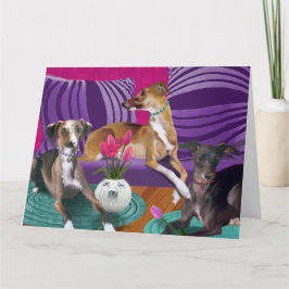 Italienska Greyhound Hund, Porträtt, färgfläckssce Kort