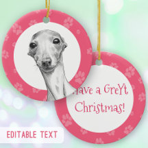 Italienska Greyhound Hund Tassar Cute Funny Jul