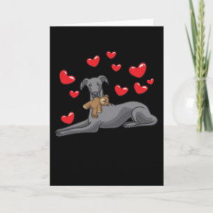 Italienska Greyhound Hund with Mjukisdjur Kort