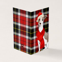 Italienska Greyhound jul Red Helgdag Play