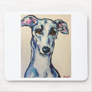 Italienska Greyhound Musmatta