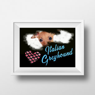 Italienska Greyhound Öga Solid Färg Poster