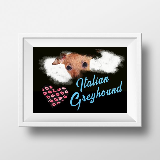 Italienska Greyhound Öga Solid Färg Poster (Skapare uppladdad)