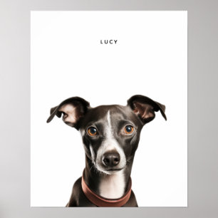 Italienska Greyhound Personlig Print Poster