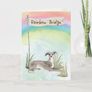Italienska greyhound Pet Sympathy over Rainbow Bri Kort