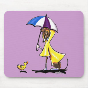 Italienska Greyhound Rainrock Musmatta
